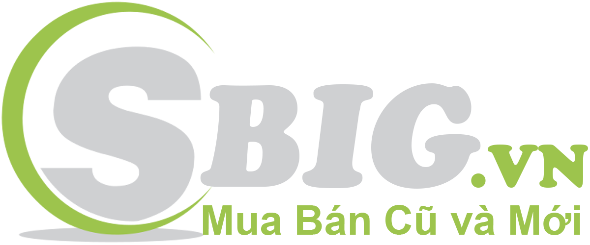 logo sbigvn